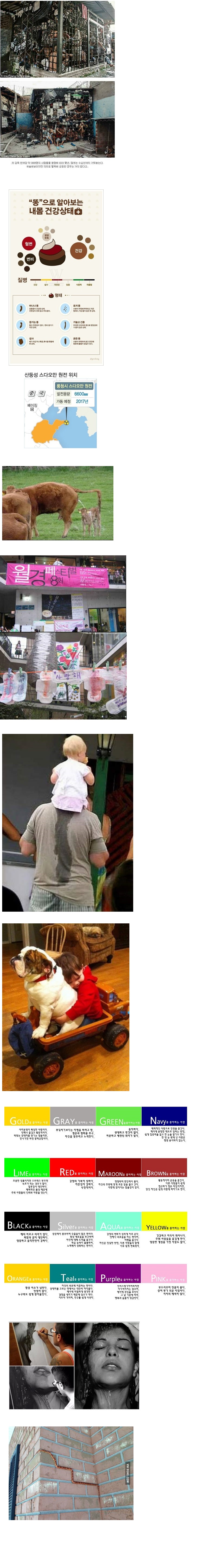 9.1.jpg