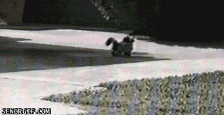 indir_%25287%2529.gif