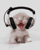 2qn7483.gif