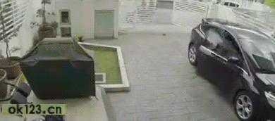 d299361464789907.gif