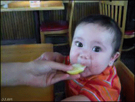 8.gif
