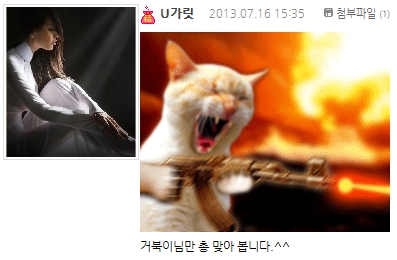 222.jpg