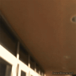 11.gif