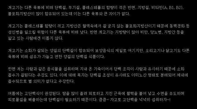 개3.jpg
