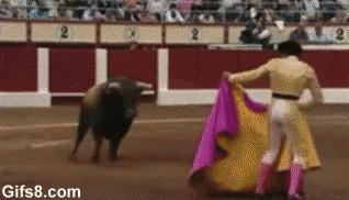 파이옥.gif