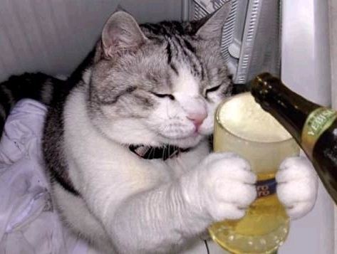 맥주.jpg