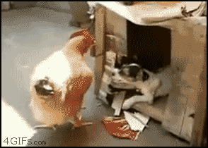 gifs_09.gif