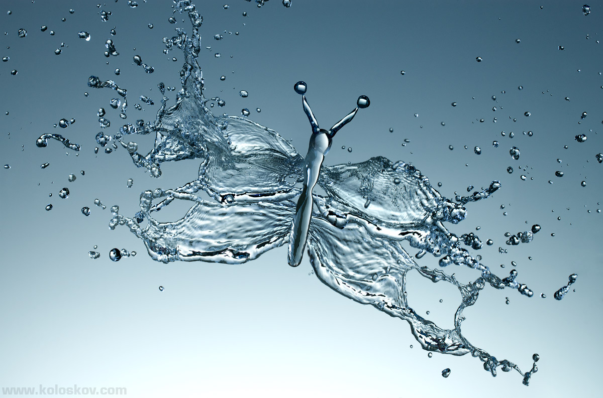 waterfly.jpg