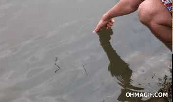 img_20130515122757_8ec0e5d1.gif