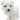무영수라총총.gif