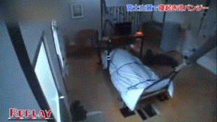 AQQ52fe79d079f3b.gif