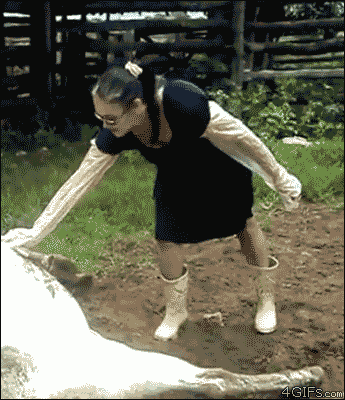 funniest-animal-gifs-horse-kick.gif