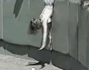 00640.gif