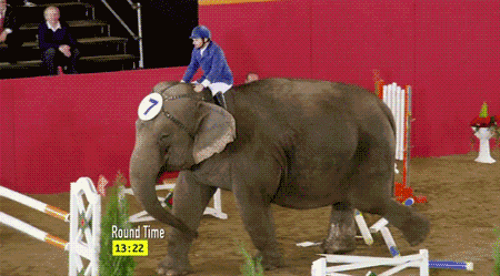 hu_1388752726_621609197.gif