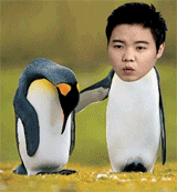 117.gif