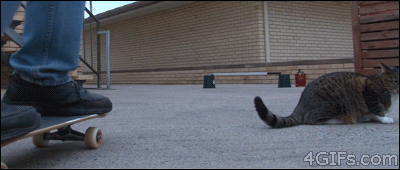 GA452089e092b264.gif