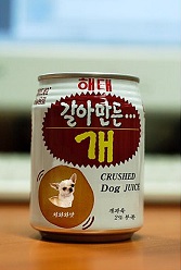 개.jpg