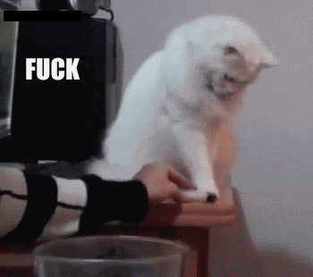 123.gif