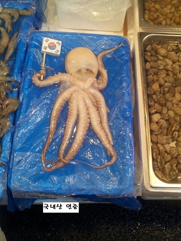 123.jpg