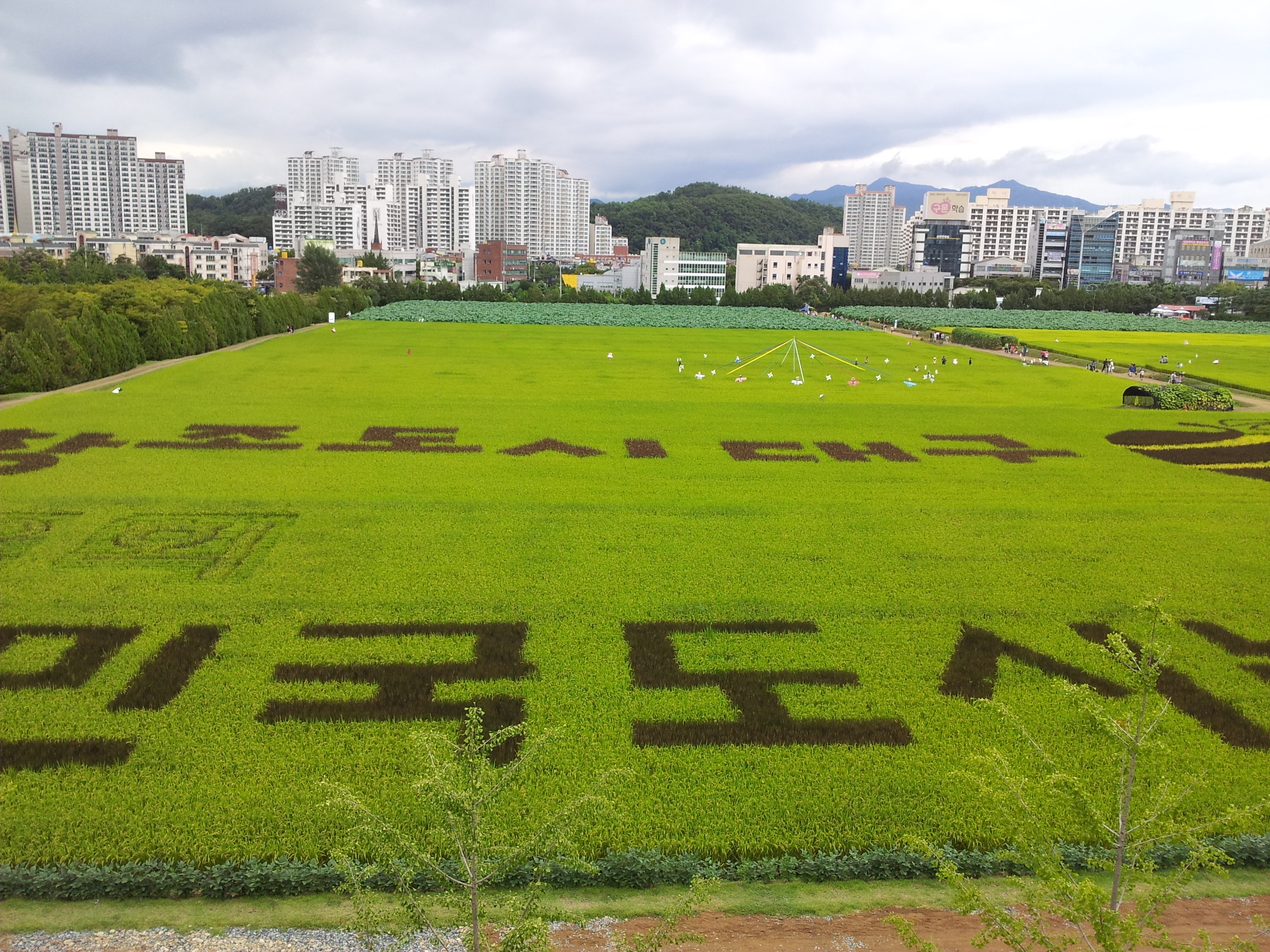 20130907_171149.jpg